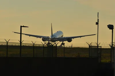 DSC_5707 (Large).JPG